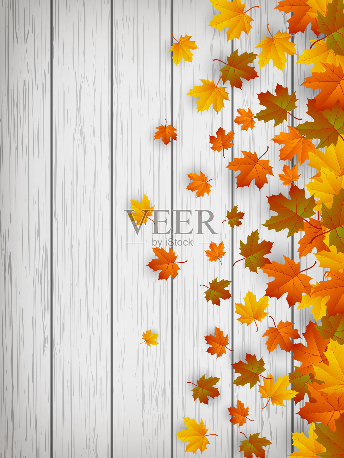 秋天的背景与落叶。秋天的叶子是红色、黄色和橙色的。向量插画图片素材
