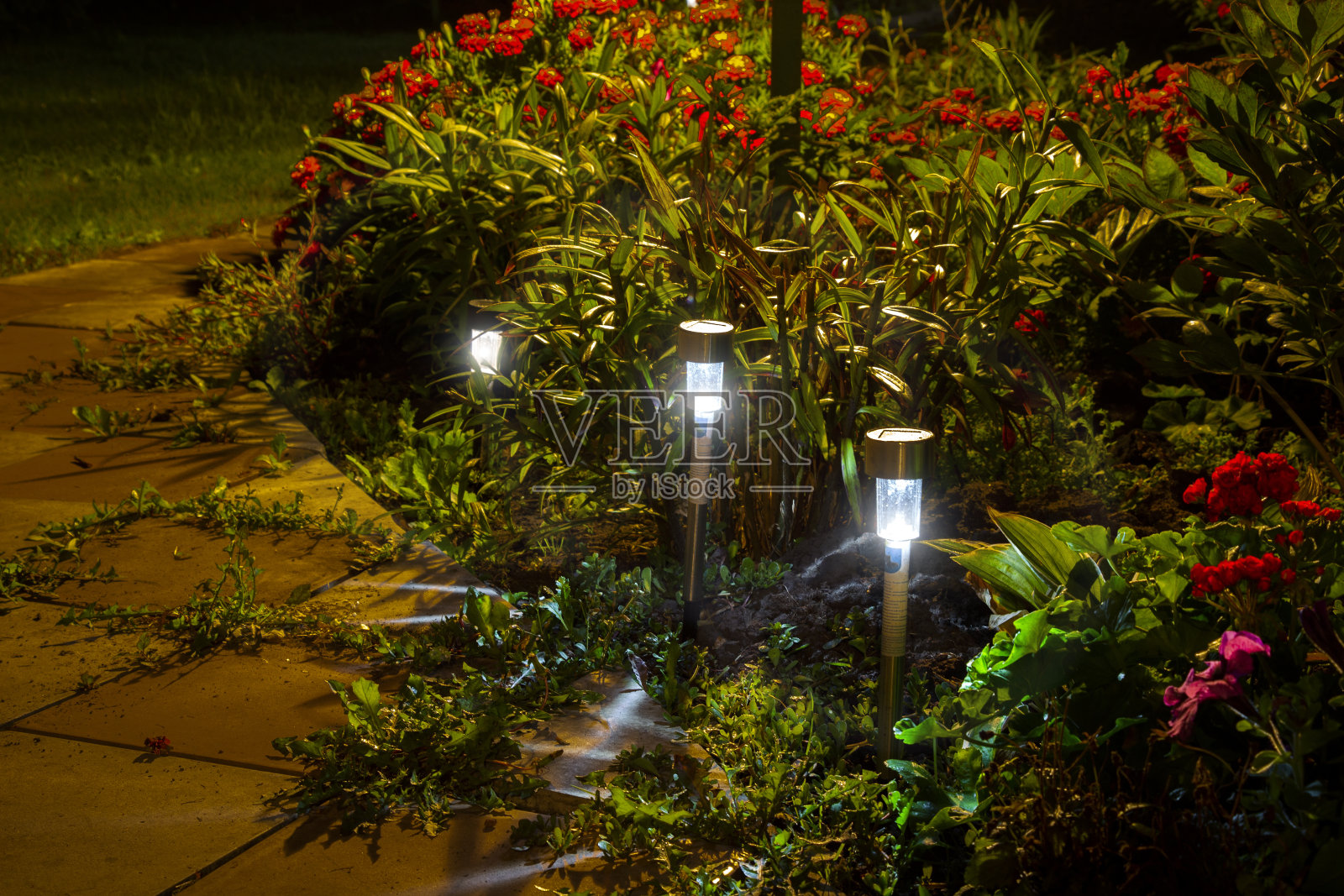 夜花园灯照片摄影图片