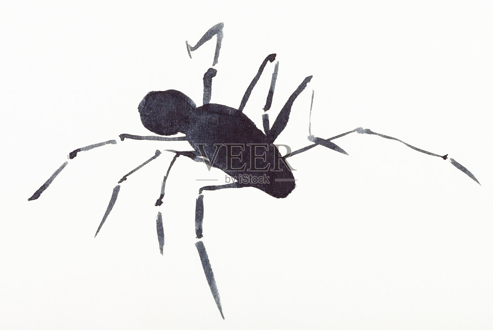 用黑色水彩画的蜘蛛插画图片素材