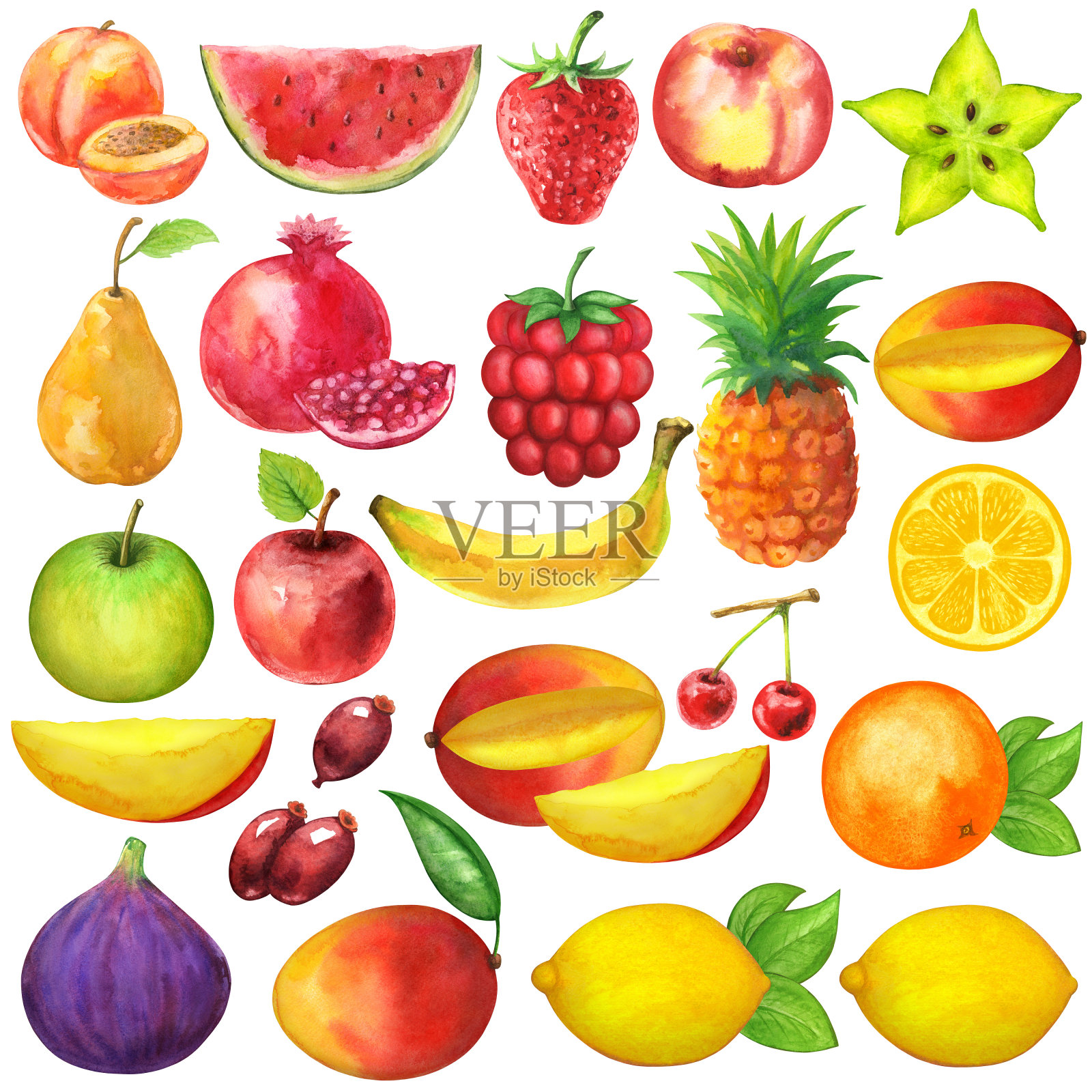 水彩水果和孤立的浆果插画图片素材