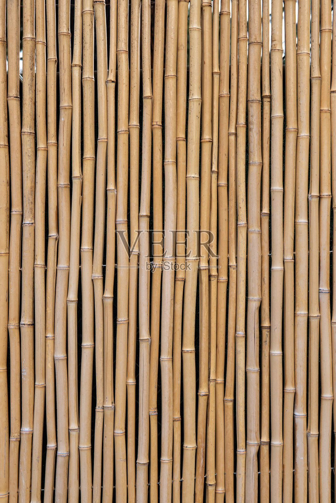 竹制成篱笆照片摄影图片