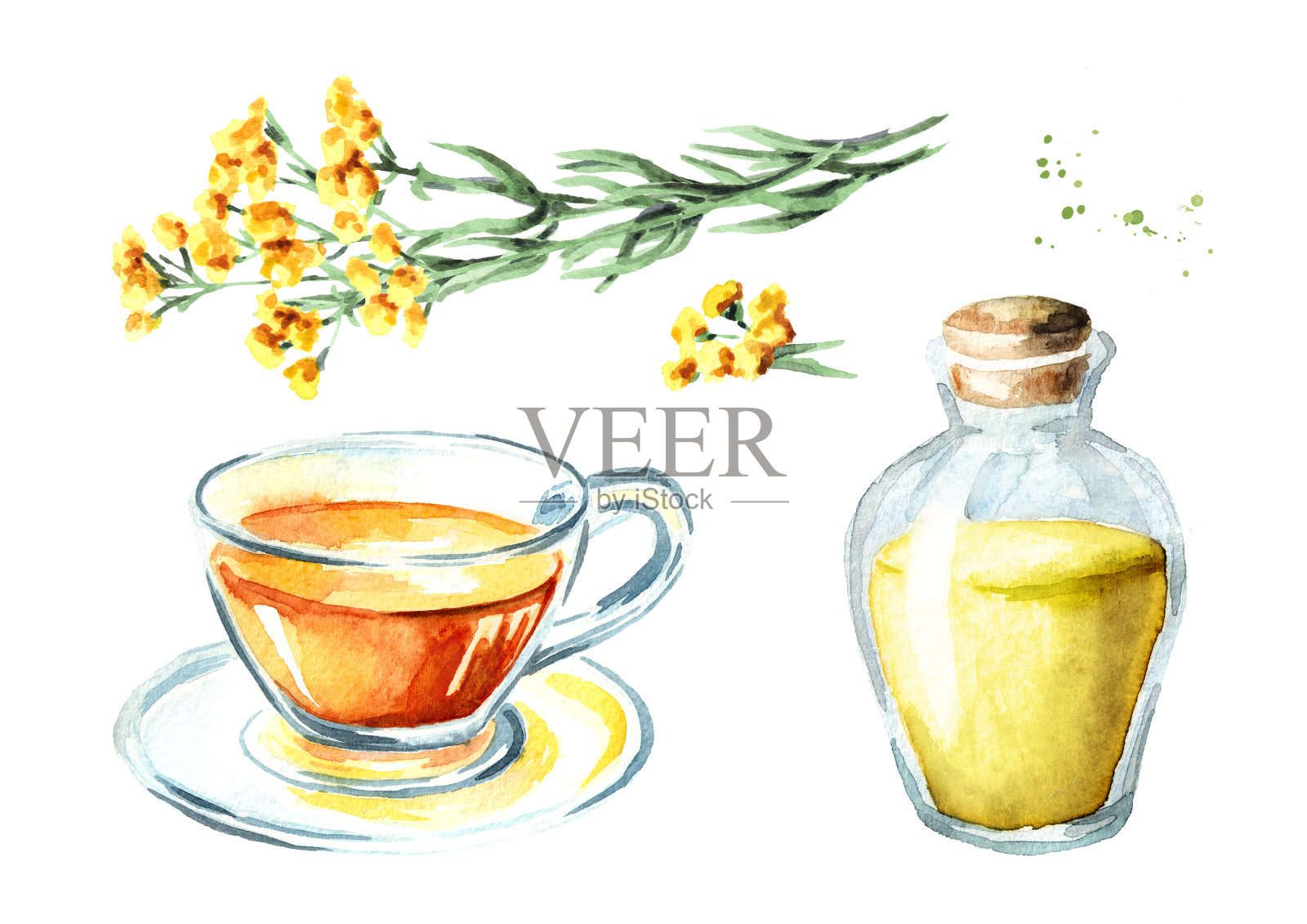无沙神仙茶和精油套装。黄花蜡菊。药用植物。水彩手绘插图，孤立的白色背景插画图片素材