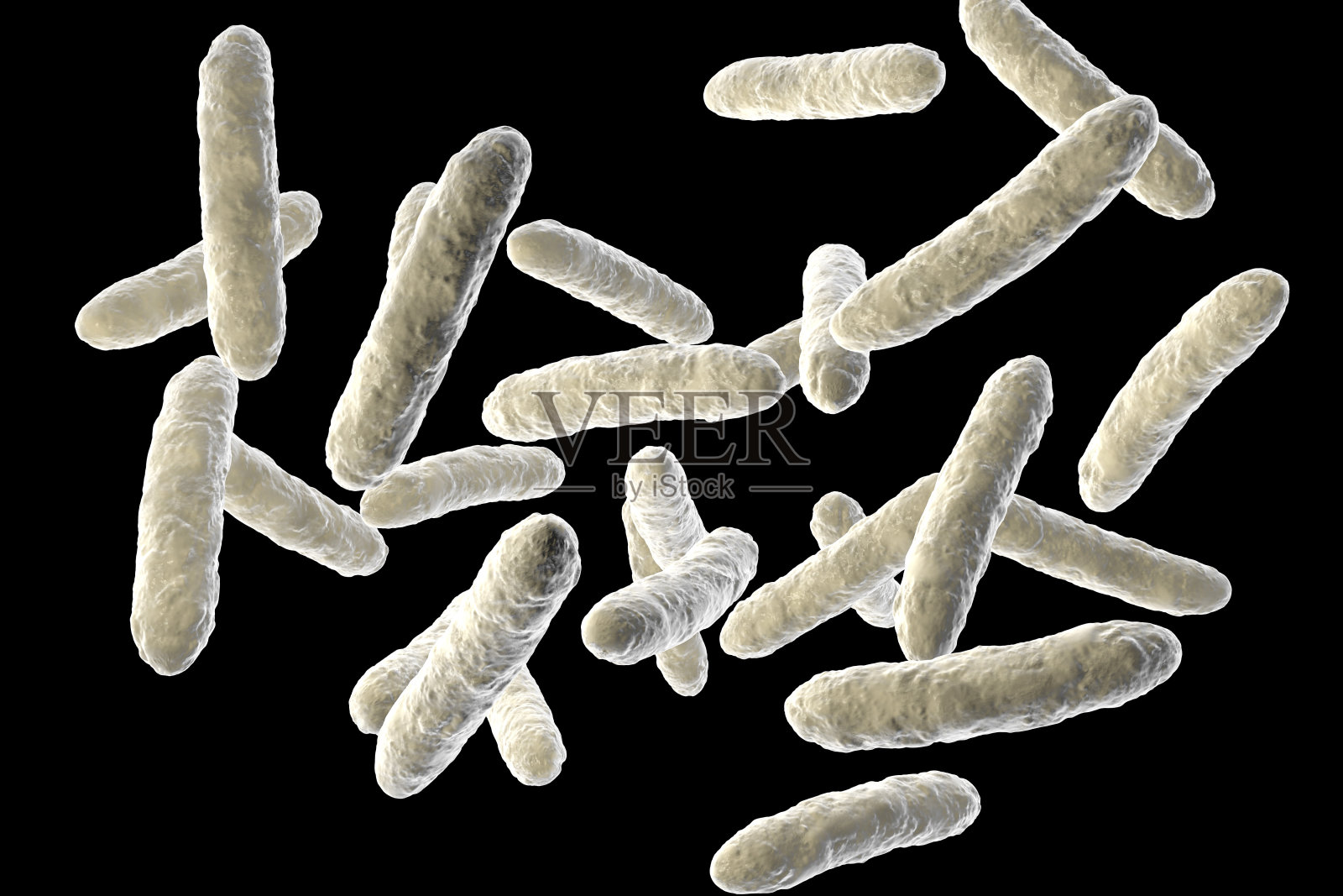 益生菌，正常肠道菌群照片摄影图片