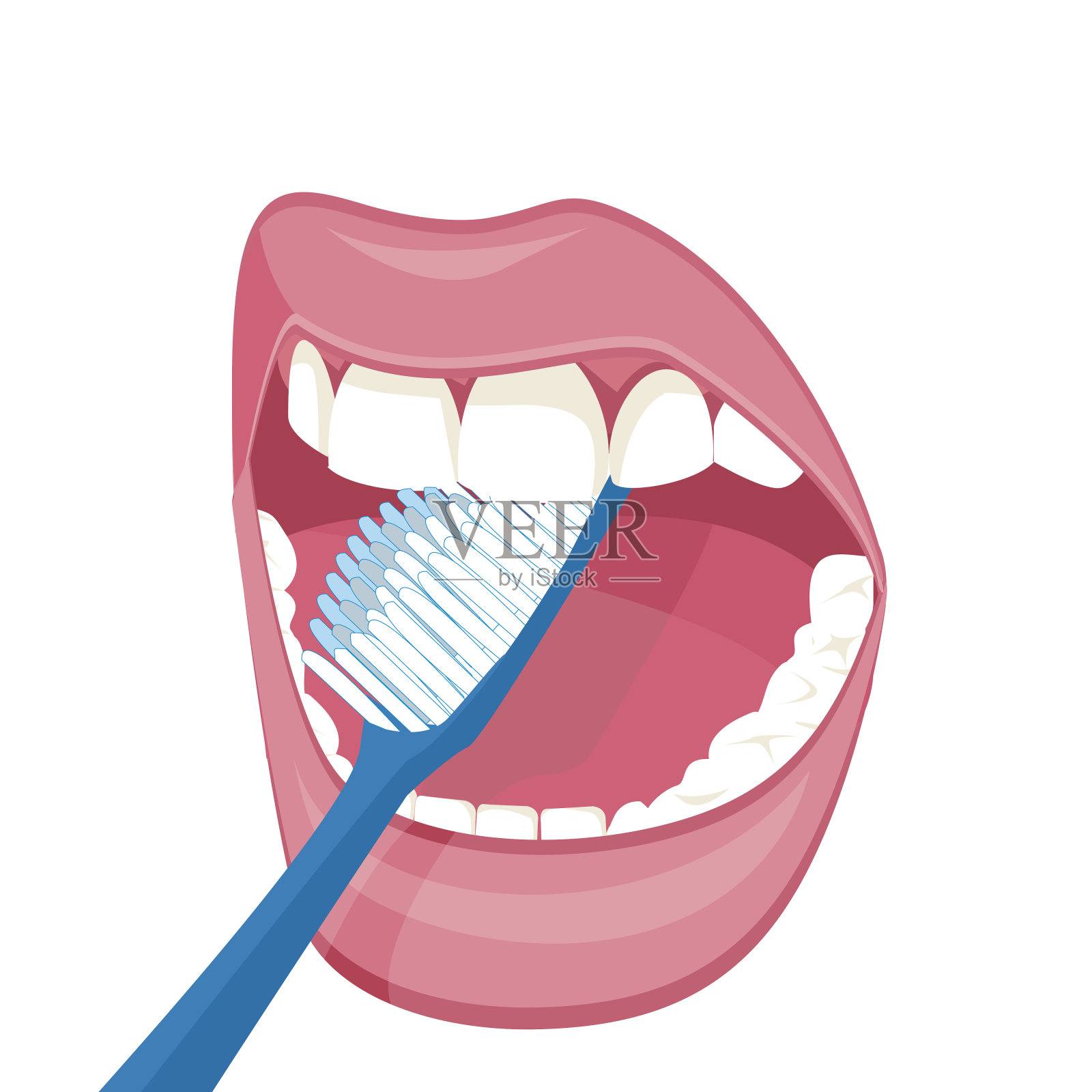 用牙刷刷牙。矢量图像上的白色背景。健康、洁白的牙齿。张开嘴，蓝色的牙刷。口腔卫生。插画图片素材