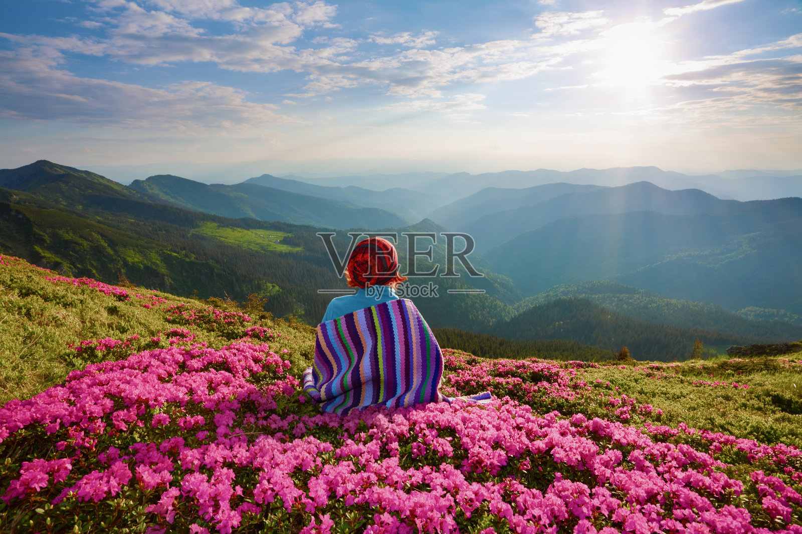 那个穿条纹格子的女孩正坐在粉红色杜鹃花丛中的草坪上，欣赏着山景和阳光。美丽的春天景色。照片摄影图片