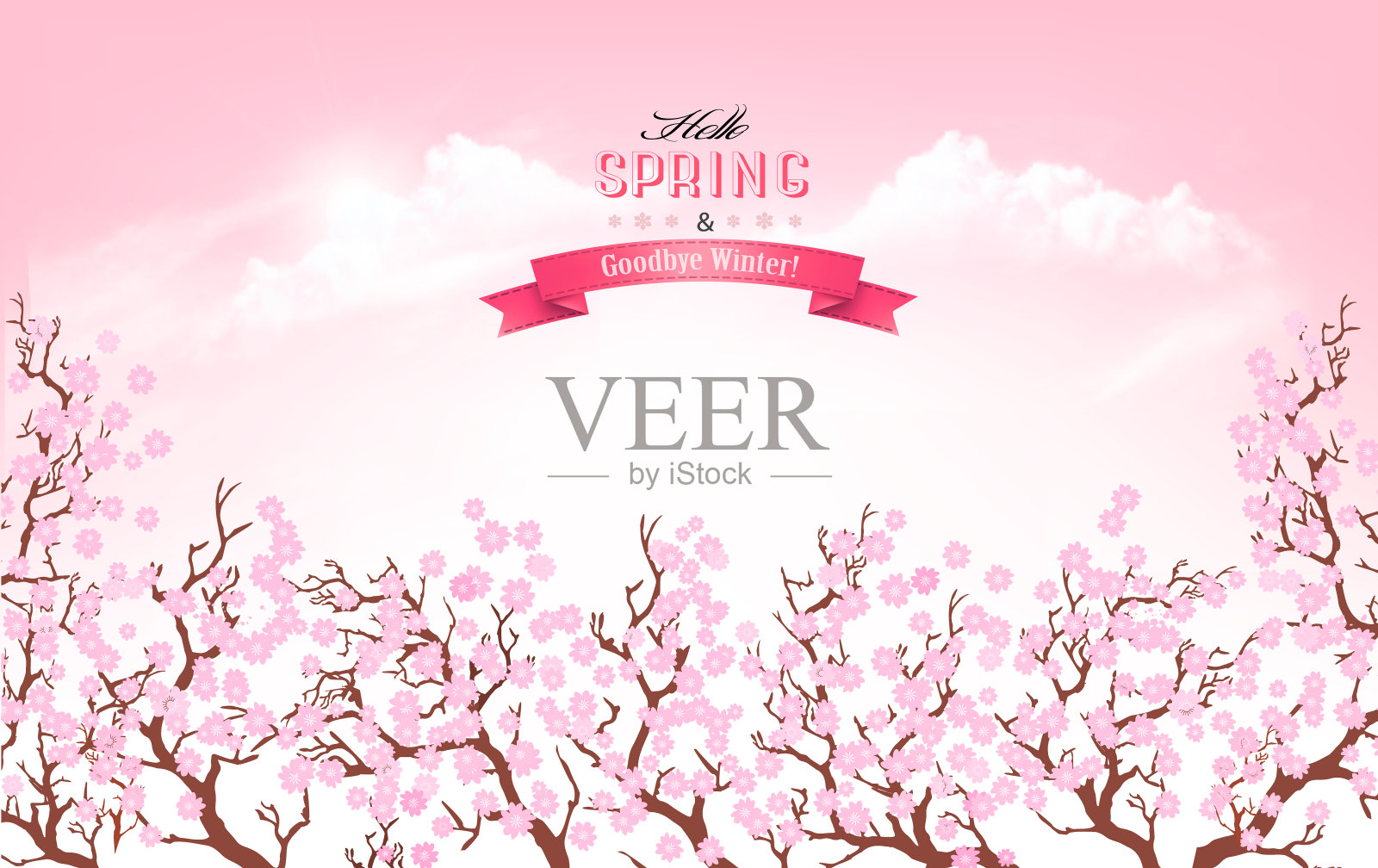 美丽的春天的自然背景与一枝盛开的樱花。向量。插画图片素材