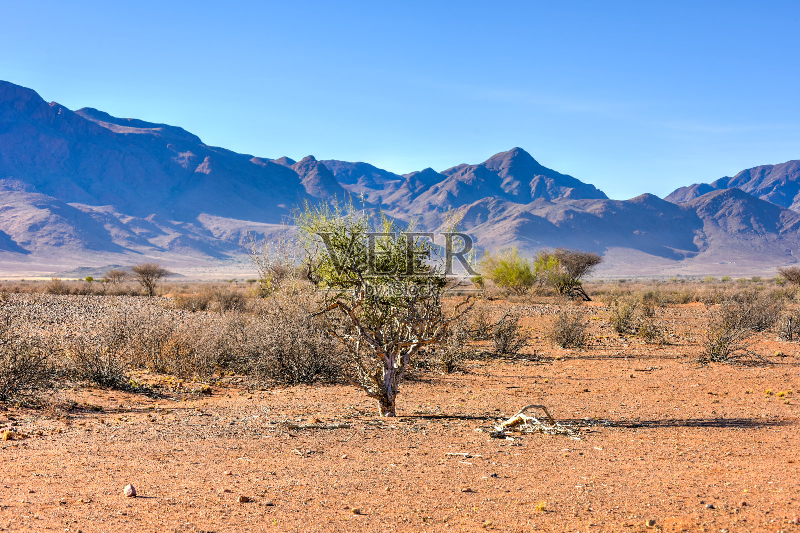 沙漠景观-纳米布兰，纳米比亚照片摄影图片