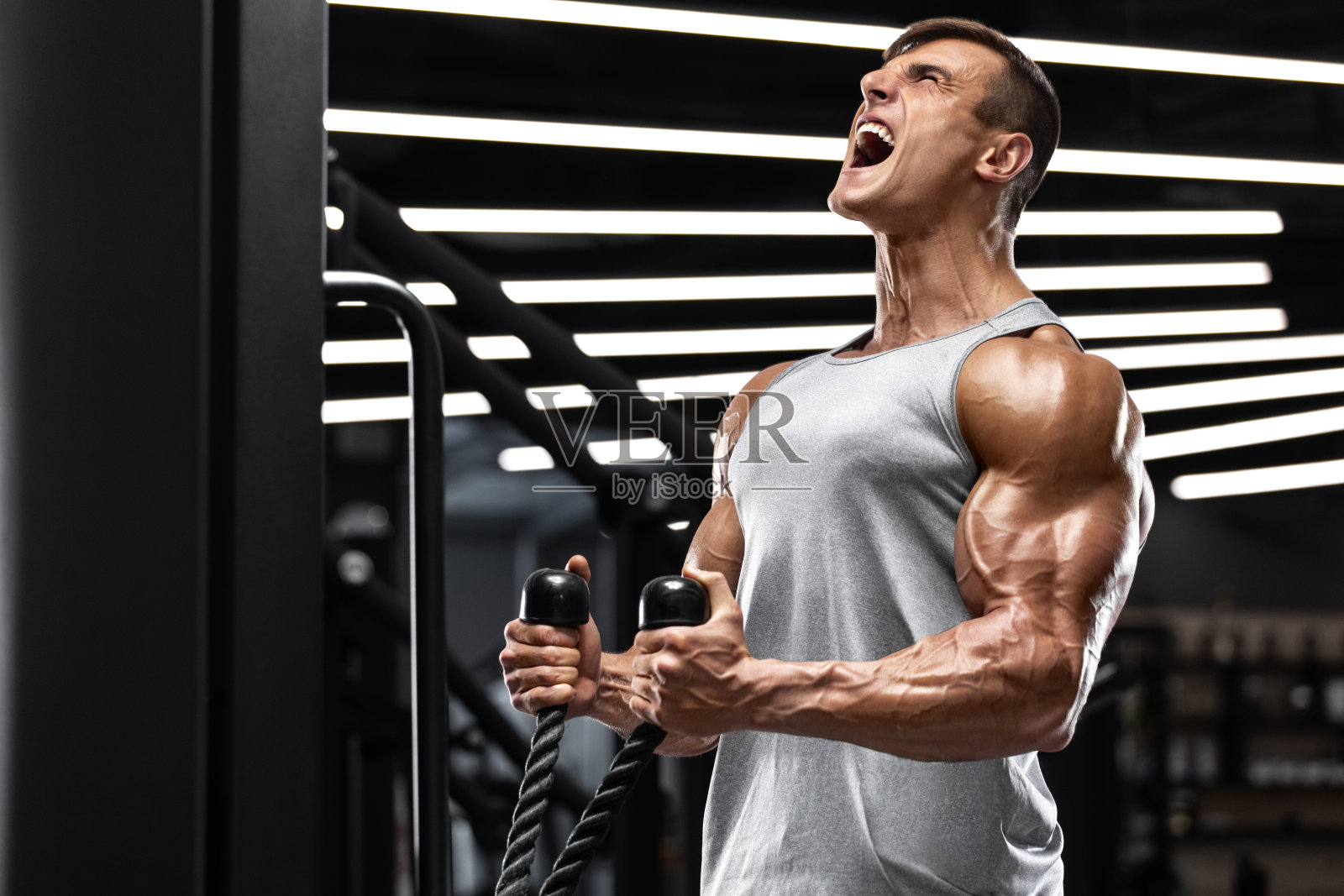 肌肉男在健身房锻炼二头肌，强壮的男性照片摄影图片