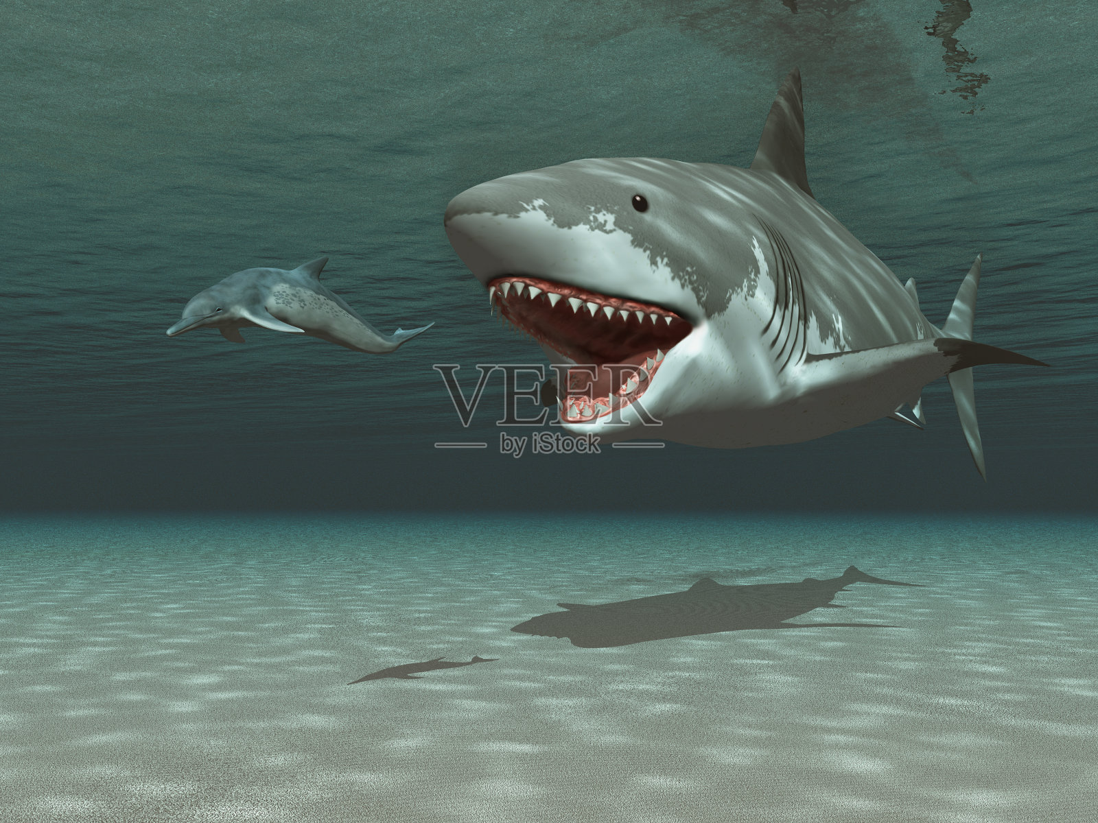巨齿鲨在追逐肯特龙照片摄影图片