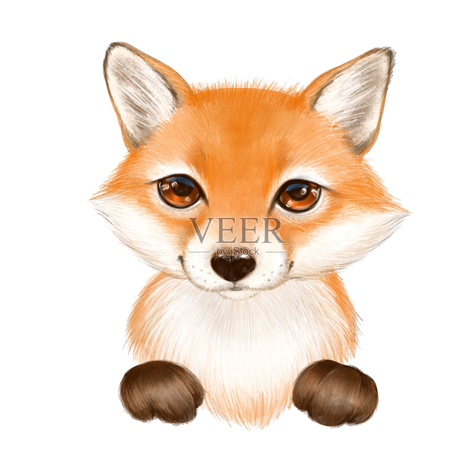 可爱的卡通狐狸在白色的背景设计元素图片