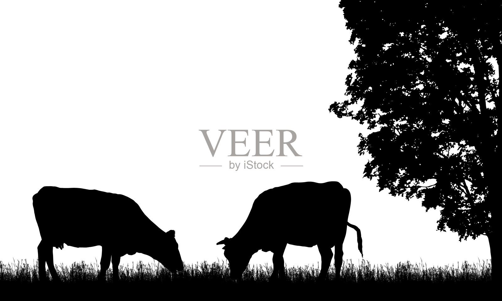 真实的插图与奶牛在牧场，草和树的两个剪影，孤立在白色背景矢量插画图片素材