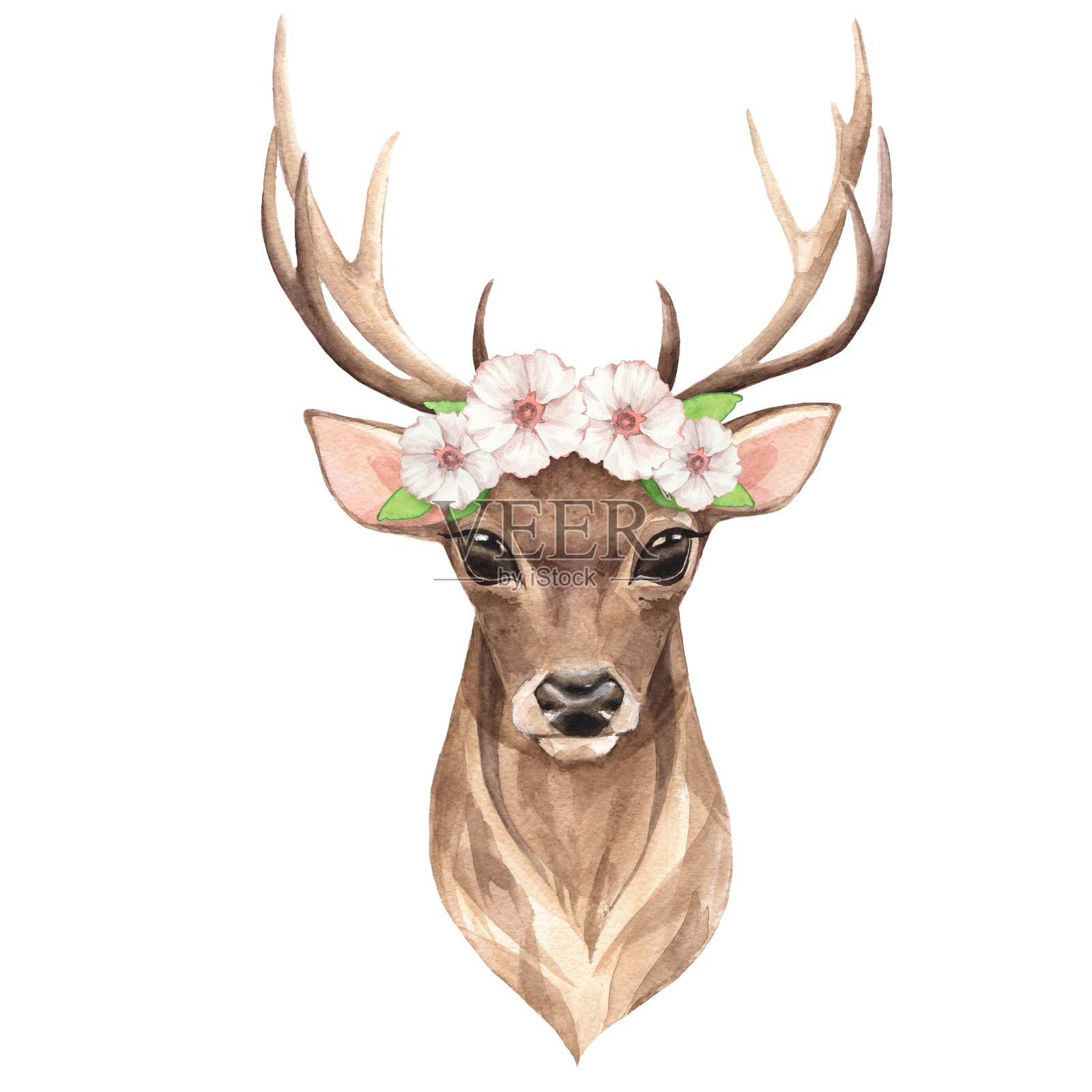 高贵的鹿。水彩插图插画图片素材