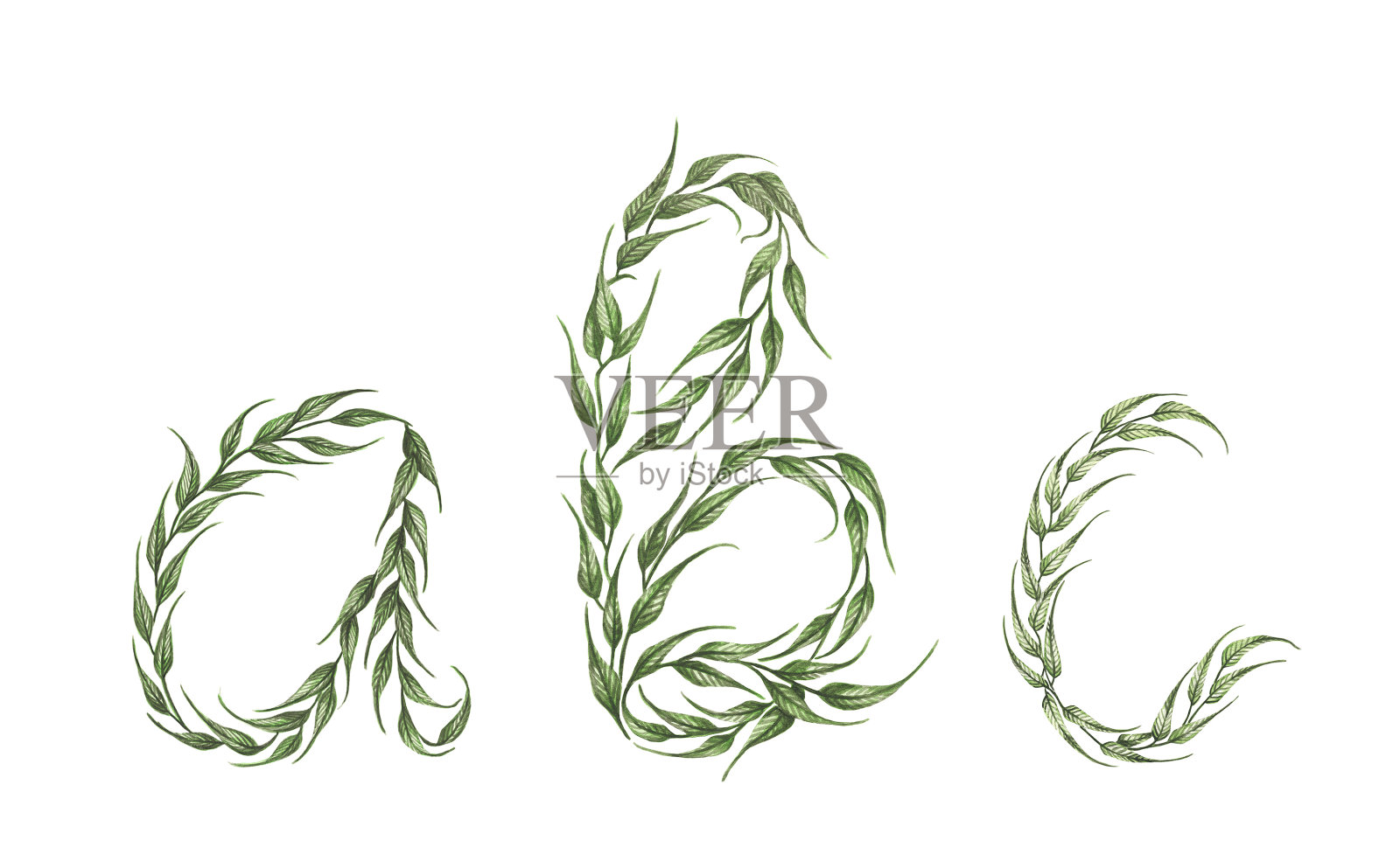 字母的绿色叶子与字母a, b, c。水彩插图。插画图片素材