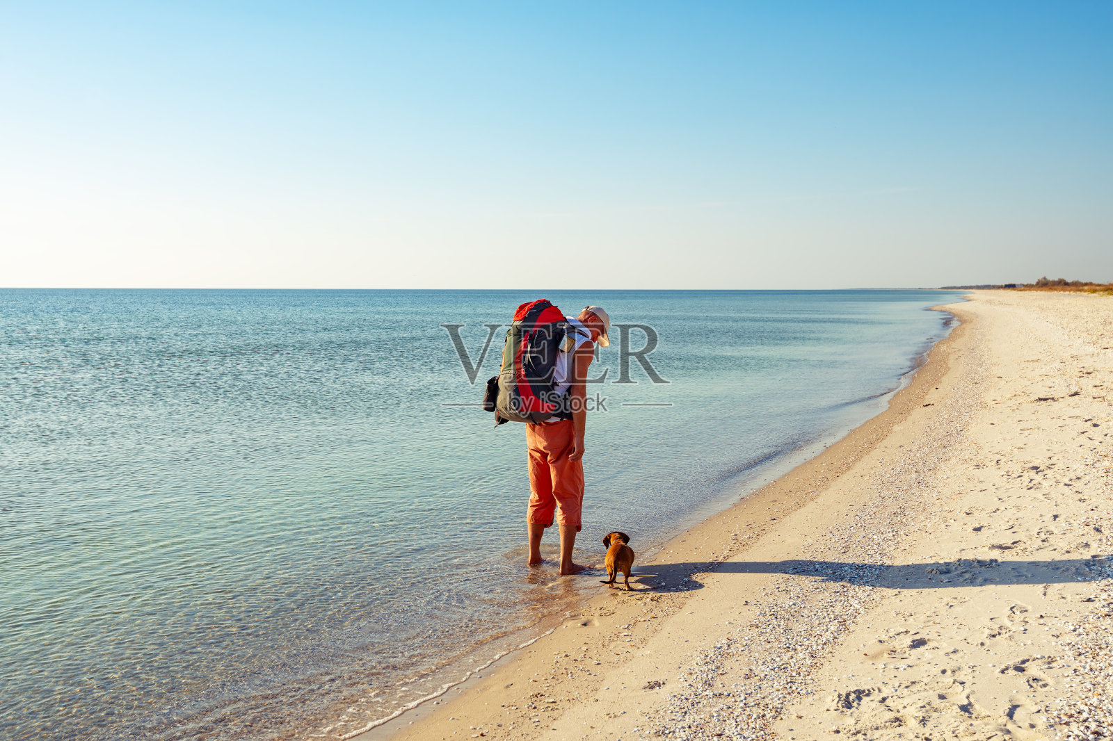 旅行者和有趣的狗沿着荒芜的海滩照片摄影图片