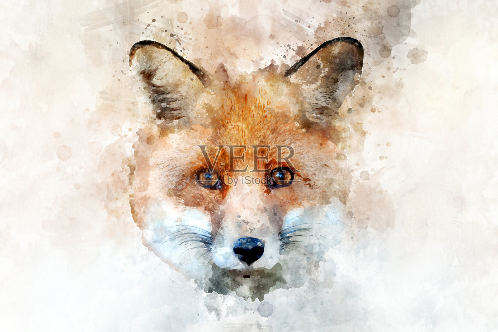 红狐狸-水彩插图肖像插画图片素材