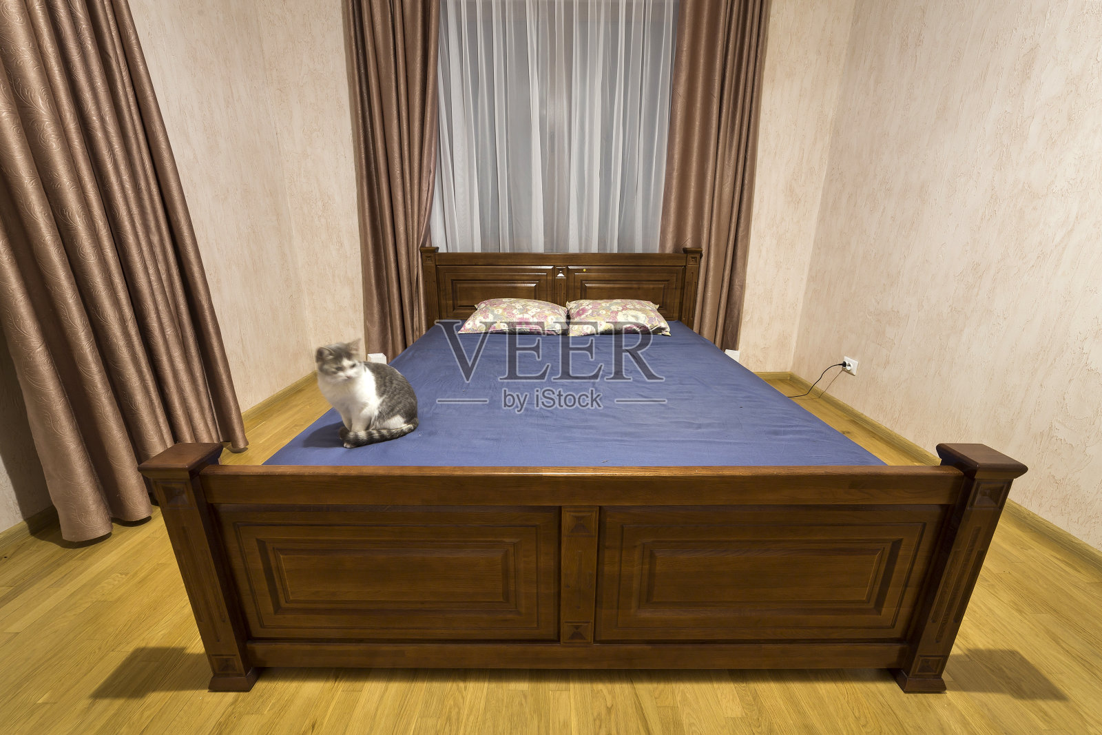 宽敞的新卧室室内设计在白色和棕色的基调。木地板和舒适的双人床，宽大的窗户上漂亮的窗帘。照片摄影图片