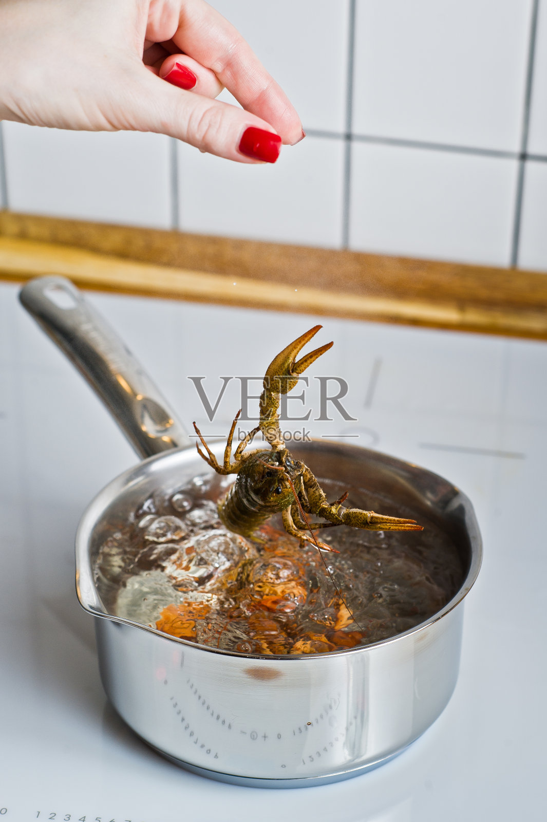 厨师把活小龙虾扔进沸水里。烹饪小龙虾。厨房的背景。照片摄影图片