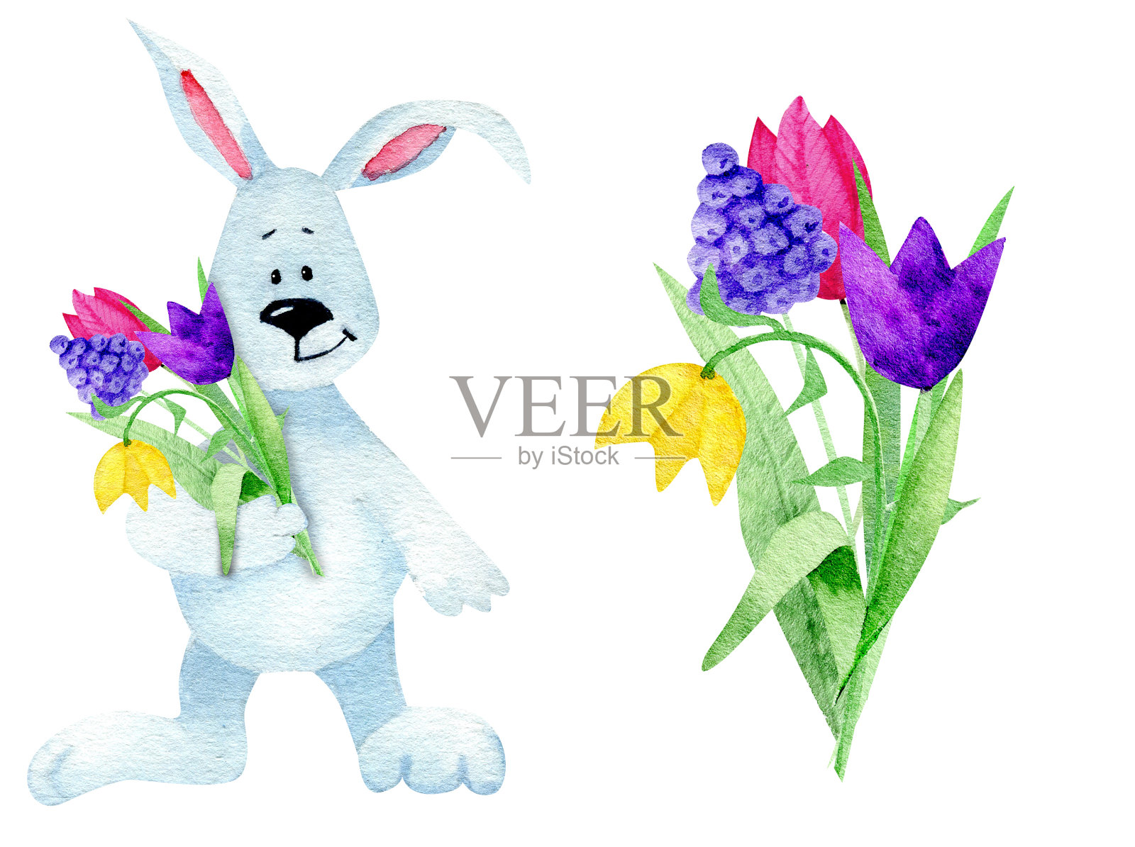 水彩插图兔子与花复活节在白色的背景。水彩插画图片素材