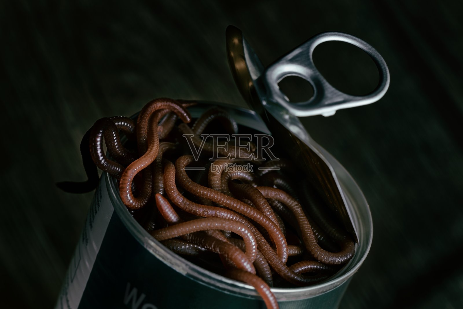 一个戏剧性的例子，开放的罐头蠕虫照片摄影图片