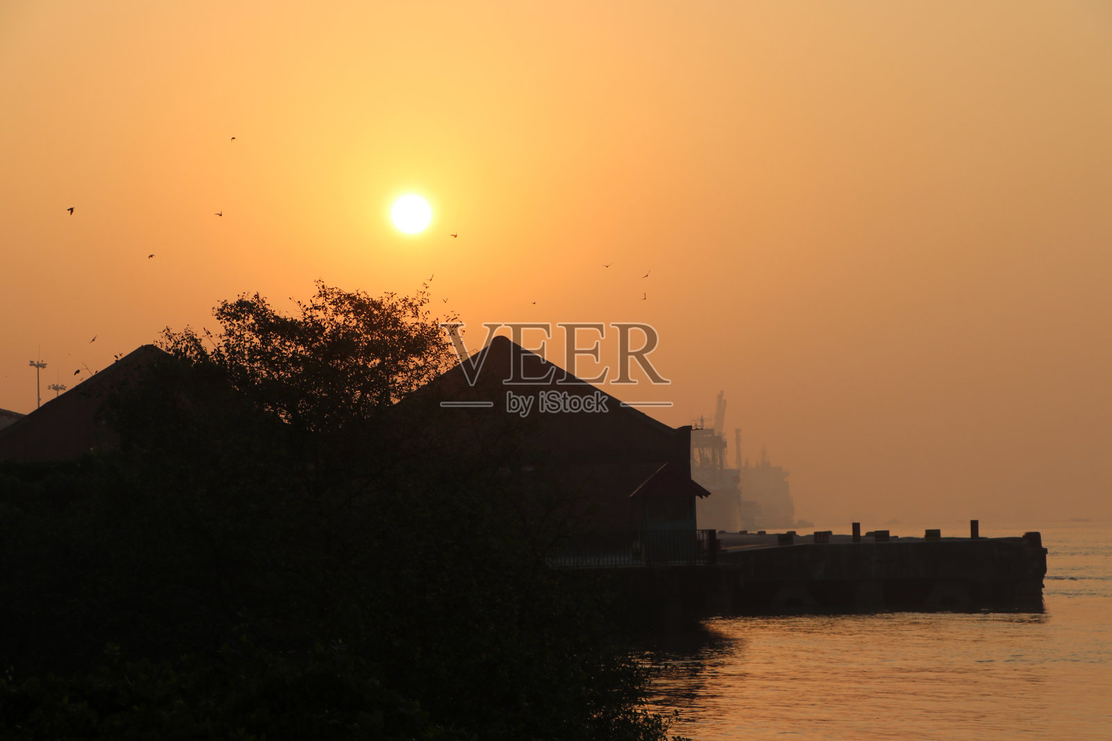 清晨日出时河边建筑物和树木的剪影。照片摄影图片
