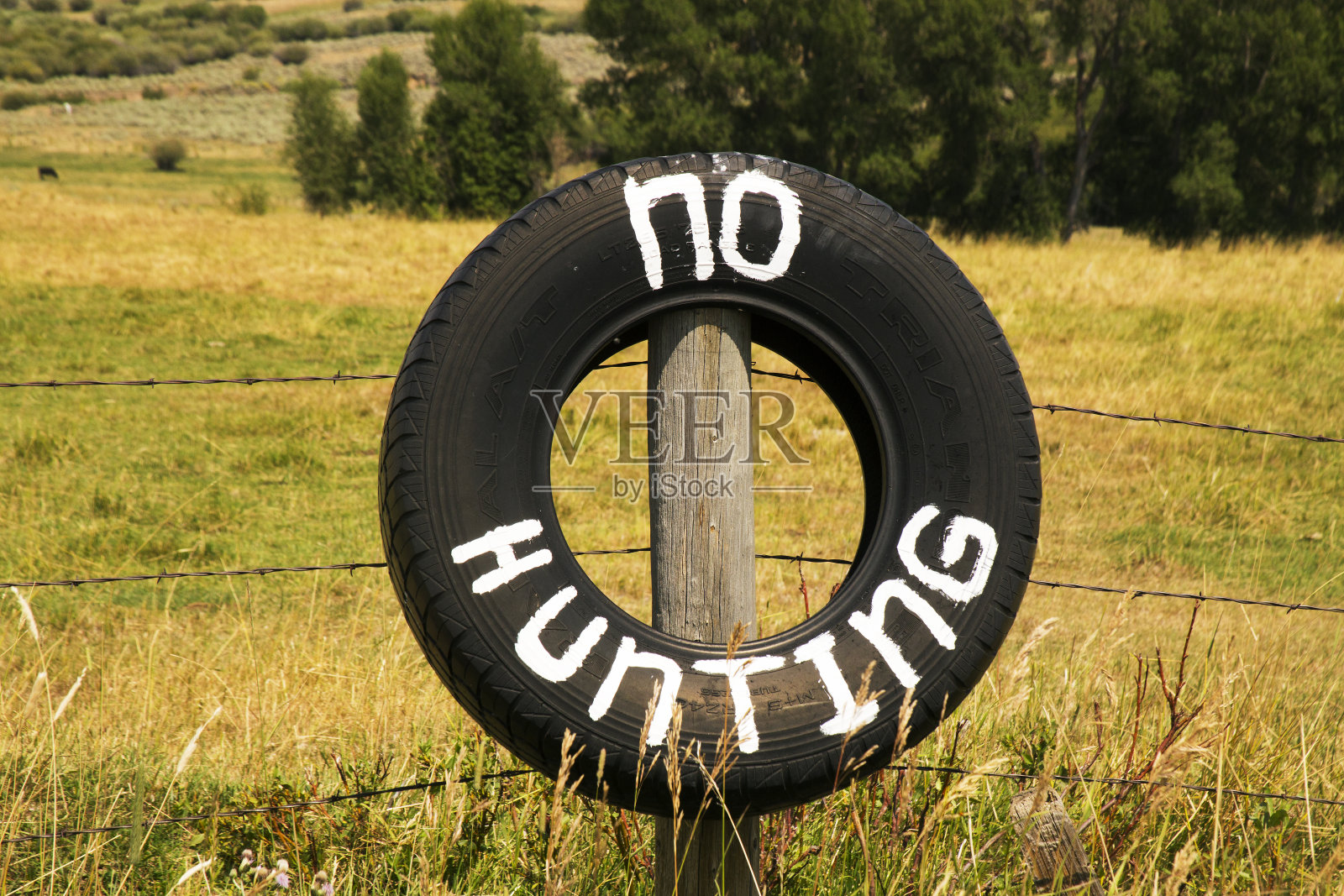 禁止在怀俄明州梅迪辛弓国家森林外的轮胎上打猎照片摄影图片