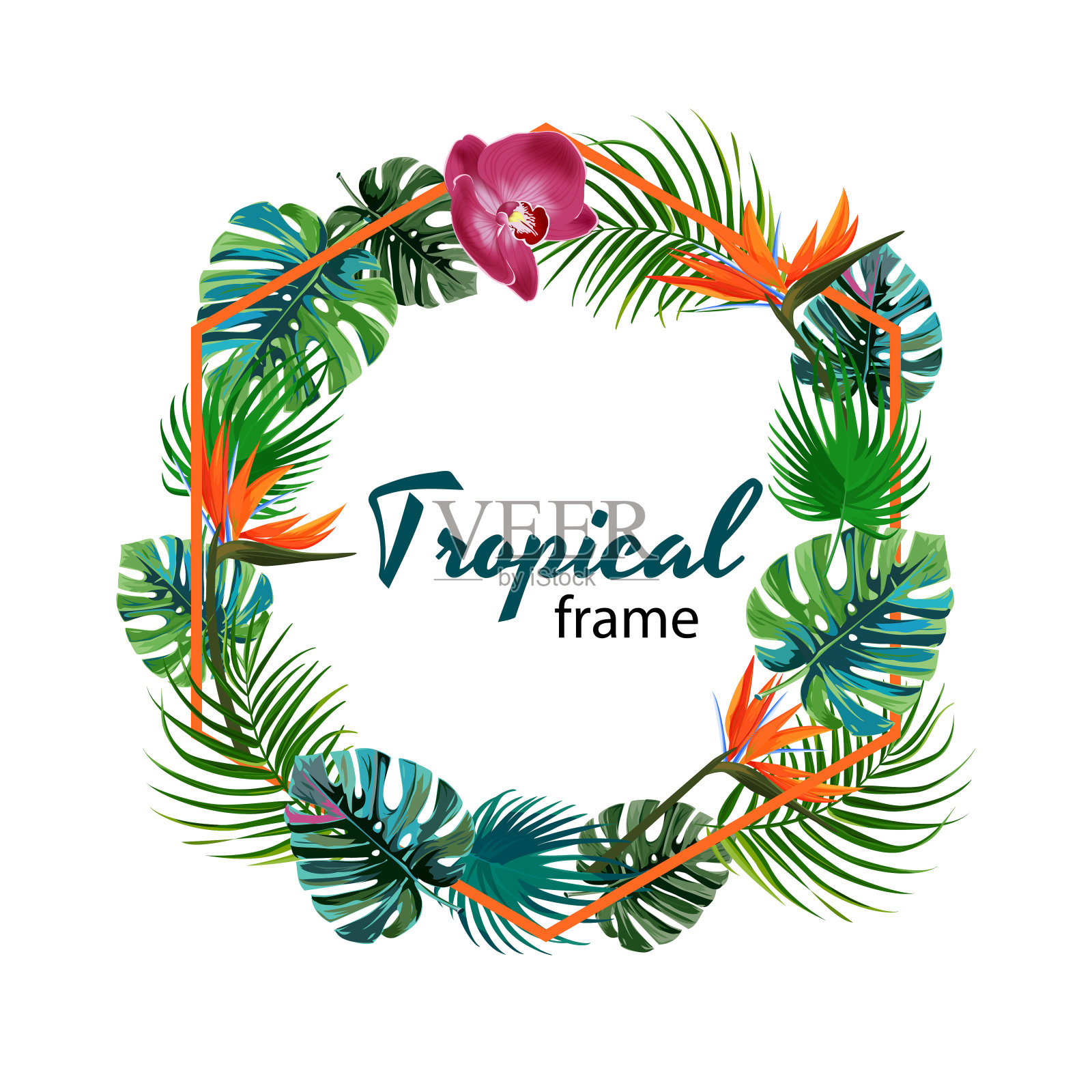 几何形状与异国棕榈叶。热带植物和花卉框架。设计元素图片