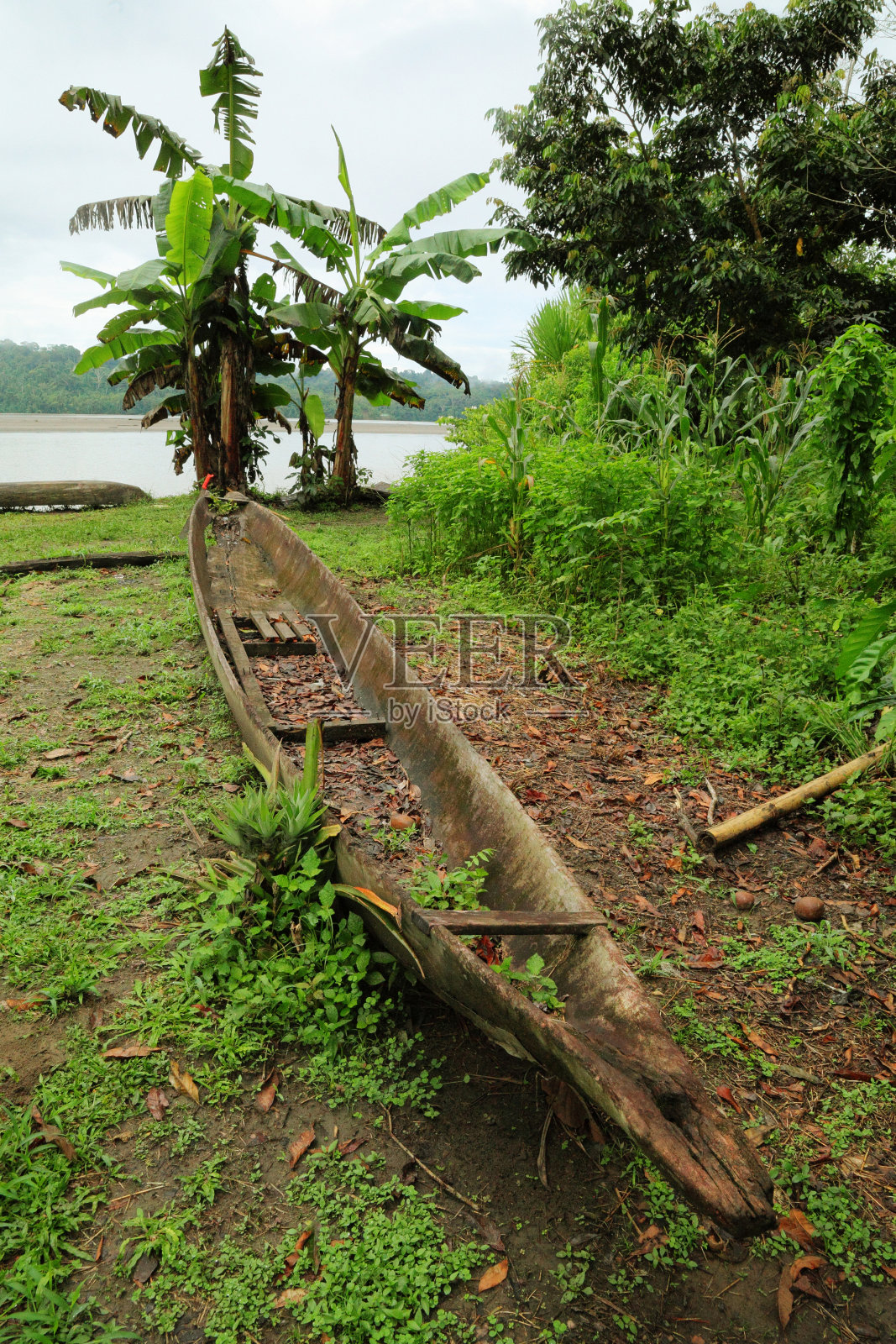 亚马逊部落的土著独木舟(桨船)照片摄影图片