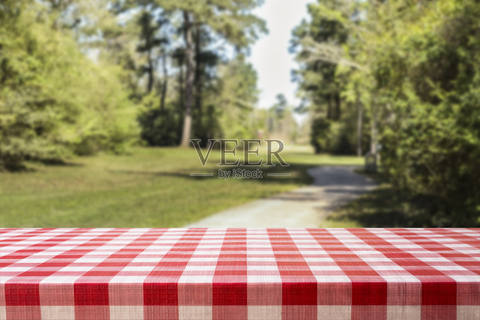 散焦的夏季公园场景与空白的野餐桌。照片摄影图片