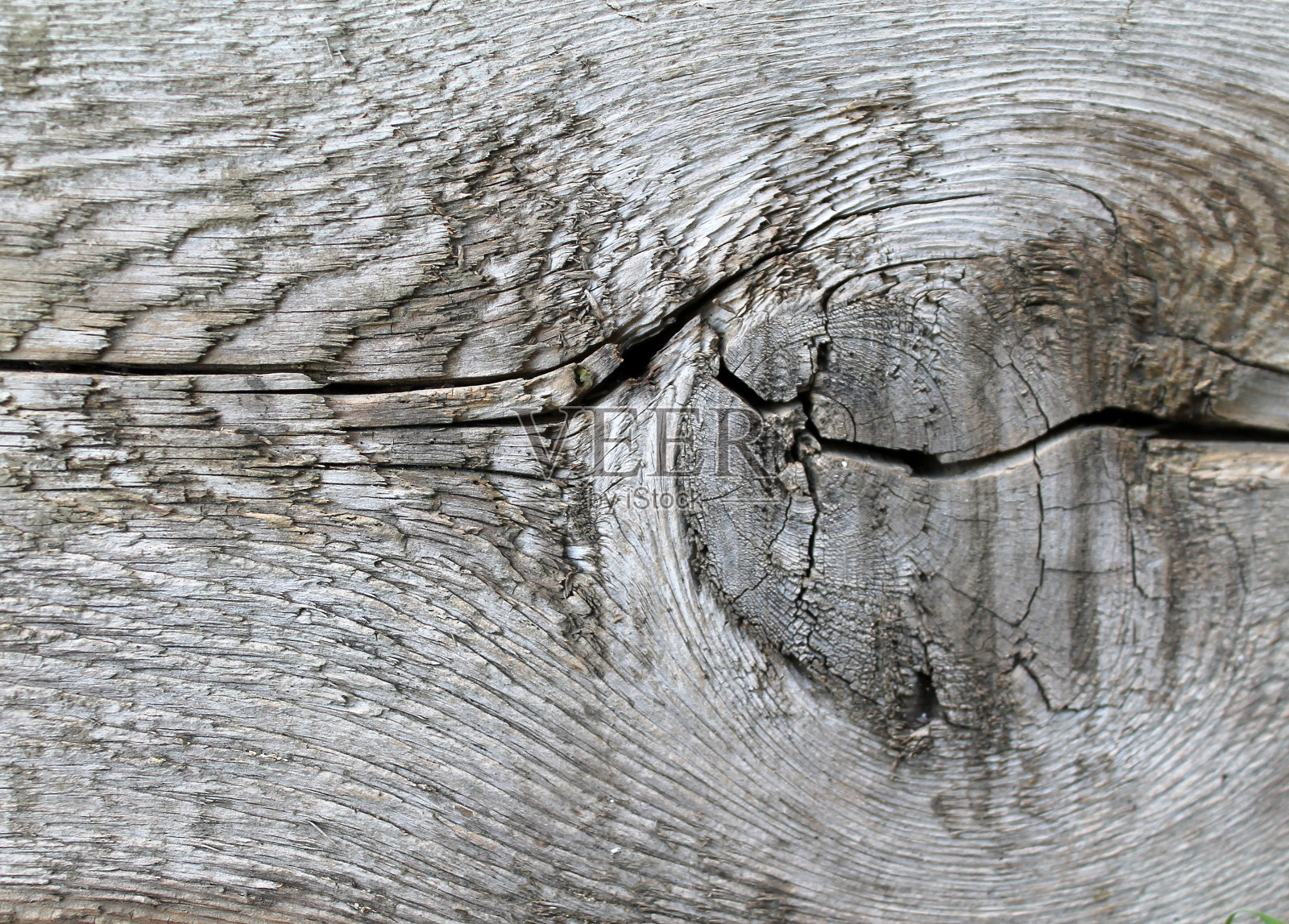 古老的木质纹理与自然的图案。这棵老树的横截面照片摄影图片