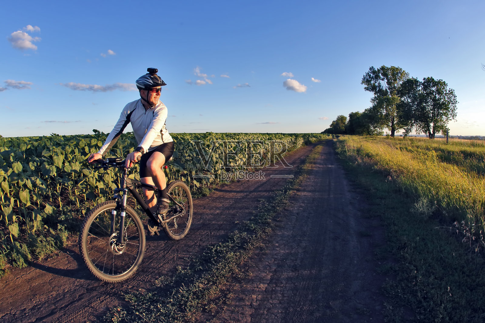 微笑的骑自行车的人沿着田野小径照片摄影图片