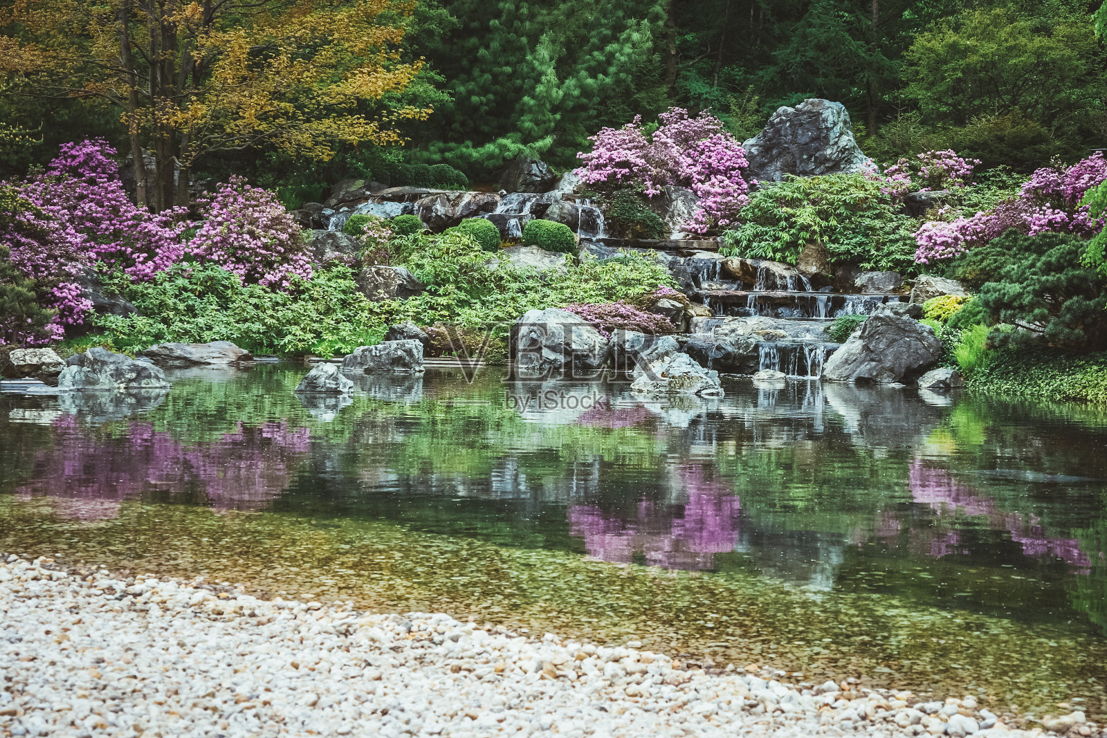 日本花园中的池塘照片摄影图片
