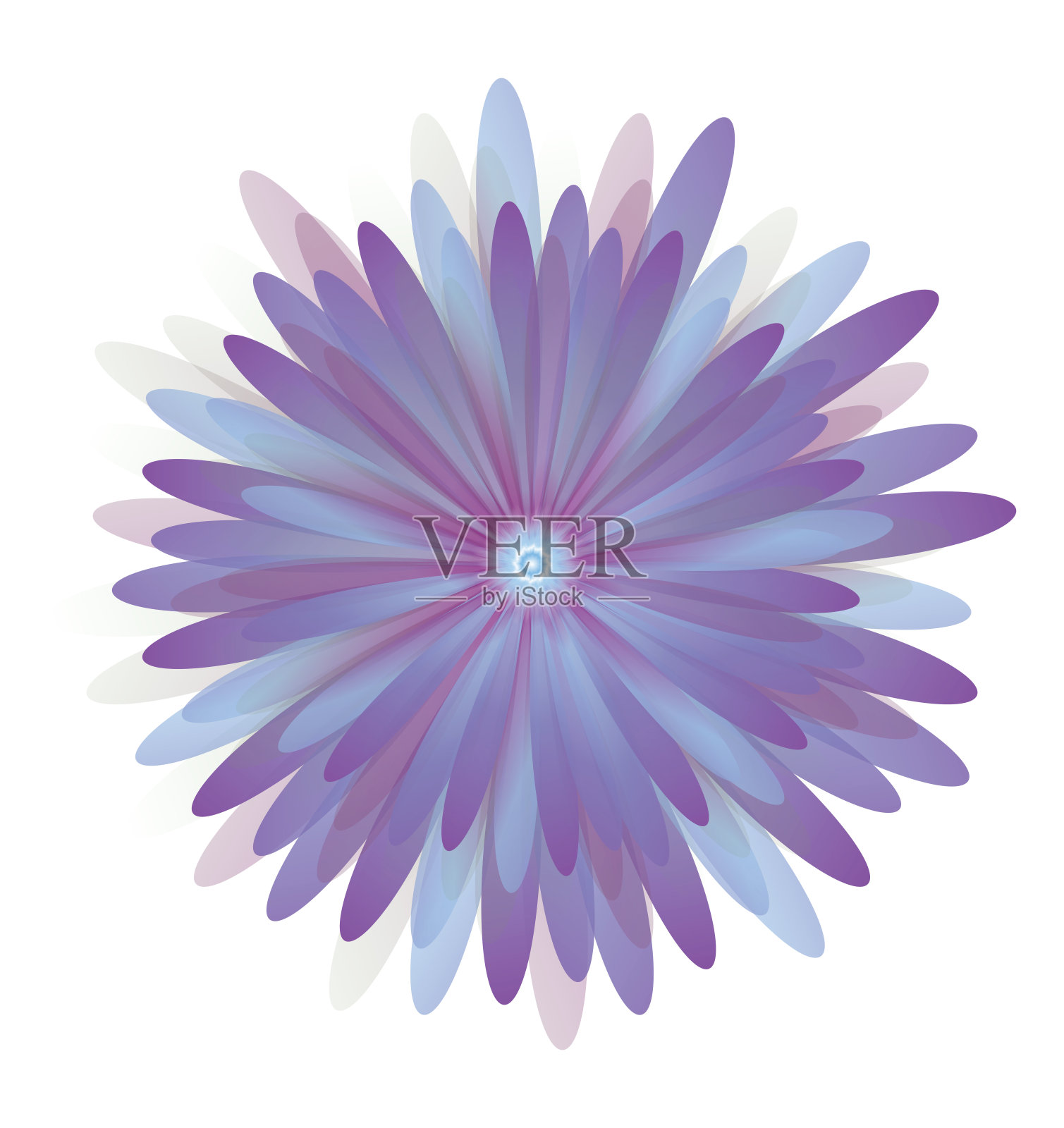 紫色的雏菊插画图片素材