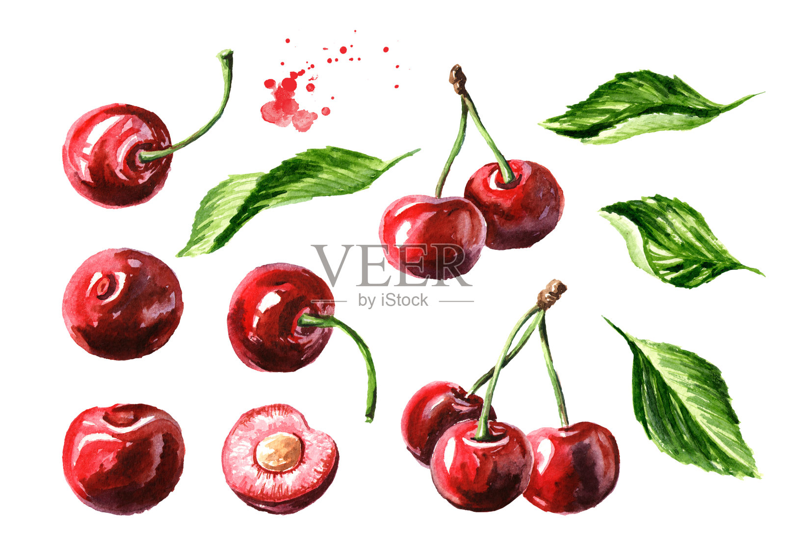 新鲜成熟的樱桃叶元素。水彩手绘插图，孤立的白色背景插画图片素材