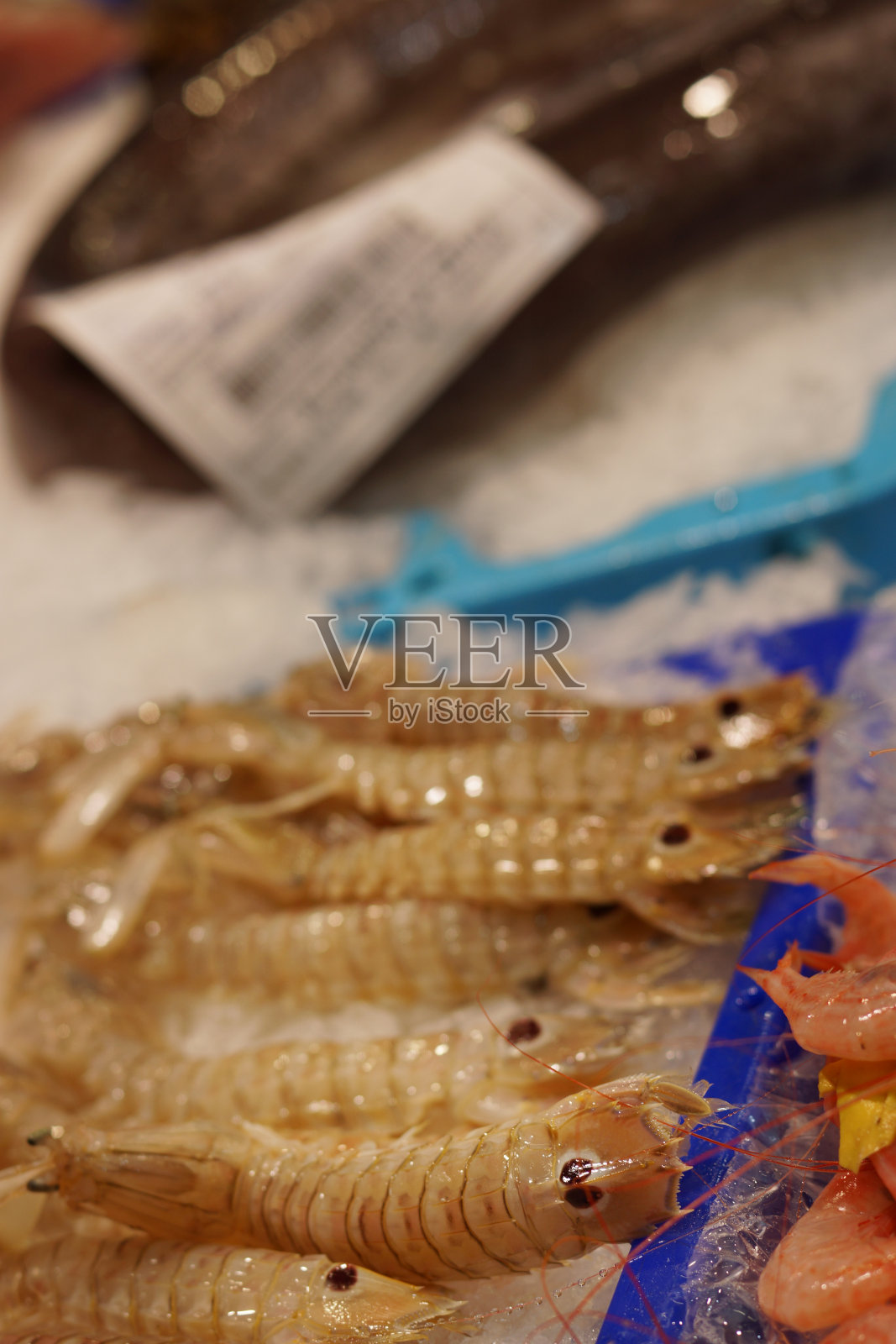 西班牙鱼市柜台上的海洋爬行动物照片摄影图片