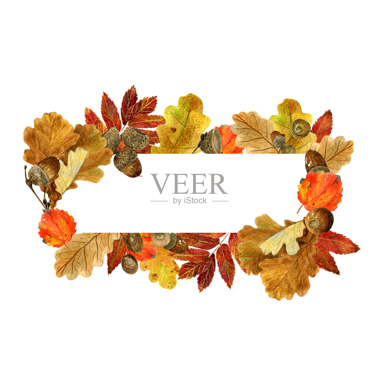 水彩矩形框架与秋天的树叶和浆果。背景与秋天的树叶，橡子和文字的地方插画图片素材