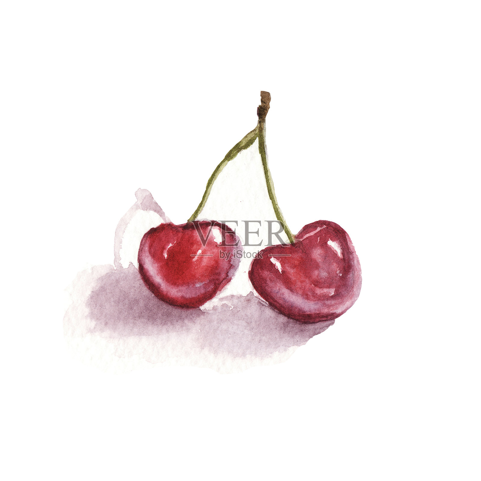 水彩插图的多汁的红甜樱桃孤立在白色的背景插画图片素材