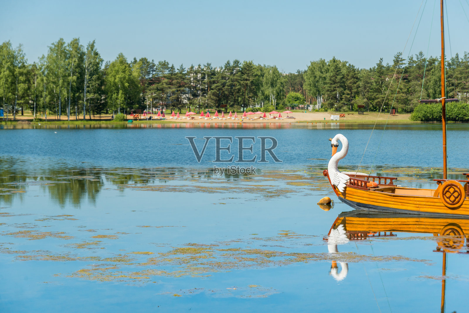 森林中碧蓝的湖泊，俄罗斯风景优美，斯拉夫人传统的仙女船与自然天鹅的美丽照片摄影图片