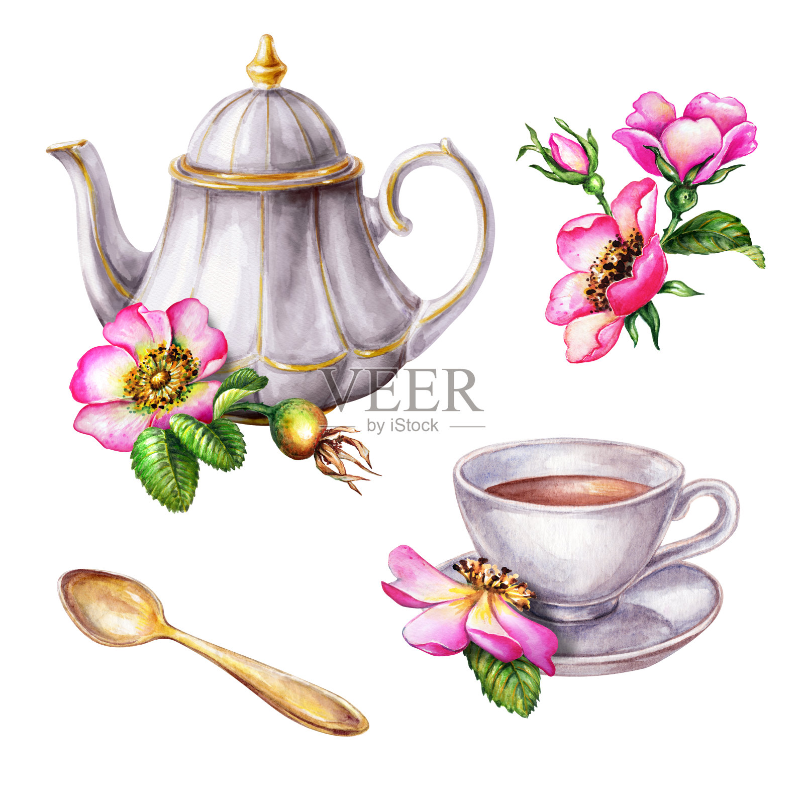 水彩插图，茶壶和杯子装饰粉红色的狗玫瑰花，玫瑰的安排剪辑艺术，孤立在白色的背景插画图片素材
