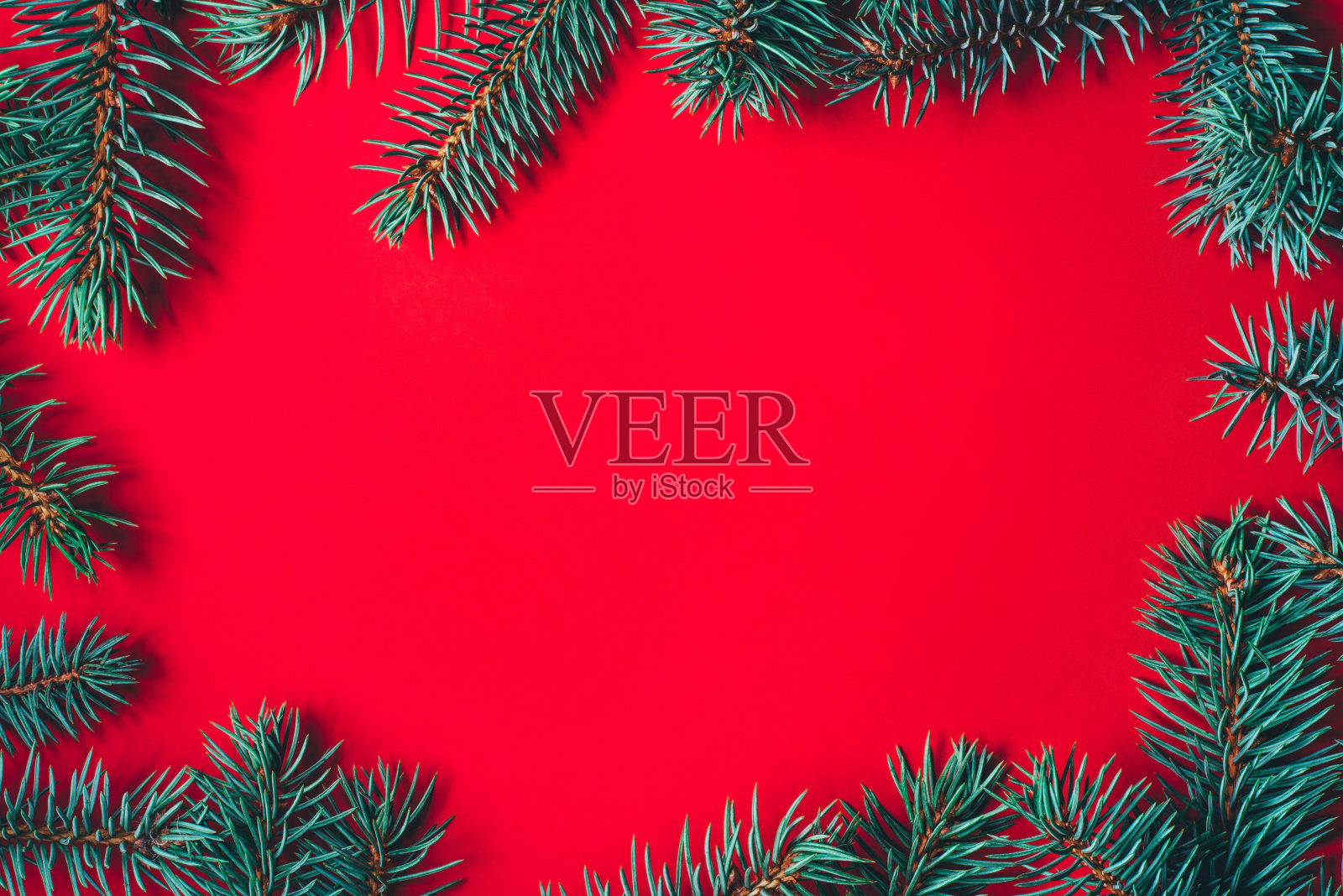 红色背景上的冷杉枝。圣诞壁纸。照片摄影图片