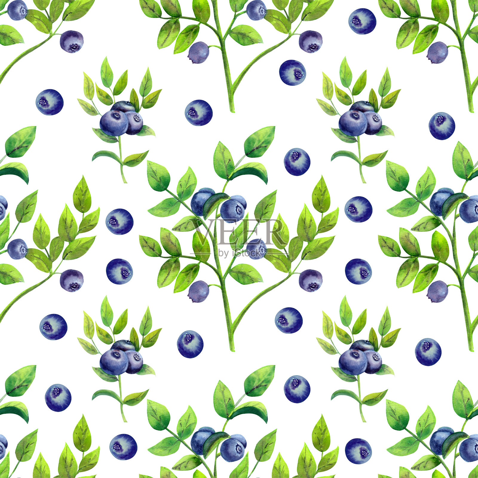 无缝模式与成熟的蓝莓在白色孤立的背景。水彩插图。插画图片素材