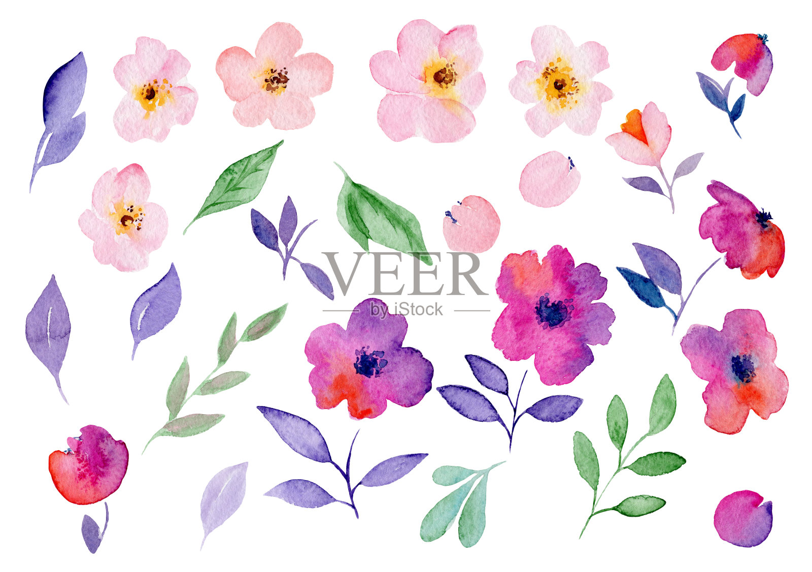 花集。色彩缤纷的花卉收集与叶和花，画水彩。春季或夏季设计的邀请，婚礼或贺卡。插画图片素材