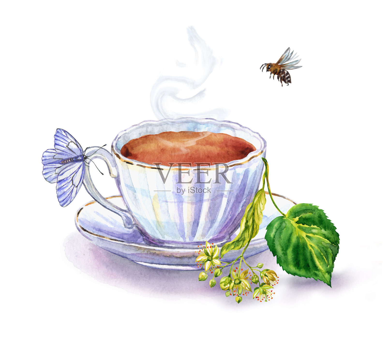 茶与椴树，水彩插图插画图片素材