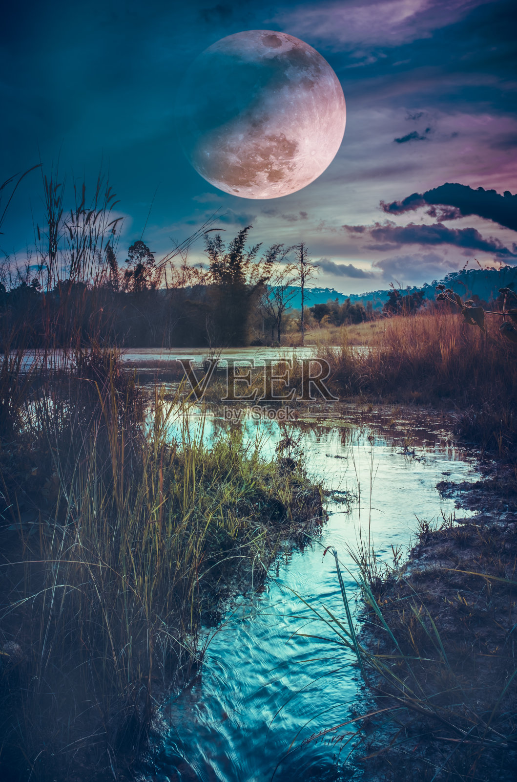 夜晚的景观在森林湖与雾和黑暗的天空超级月亮在背景。照片摄影图片