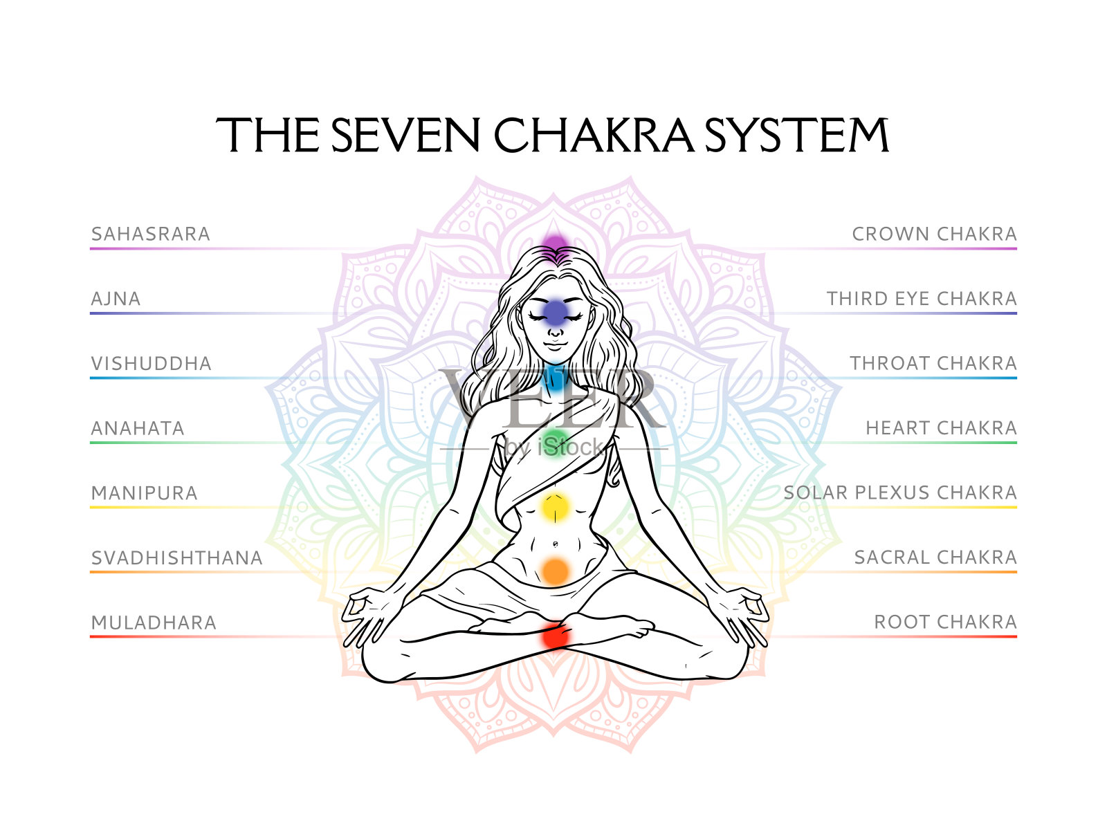人体的七个脉轮系统，与冥想瑜伽女性的信息图表，矢量插图插画图片素材