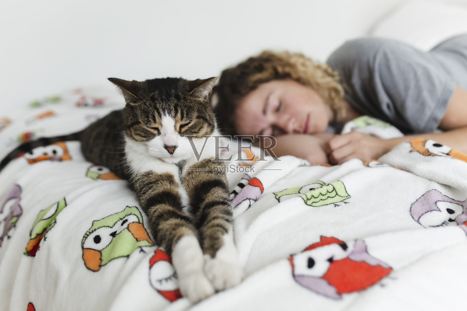 和一只猫一起睡在床上的年轻女人照片摄影图片