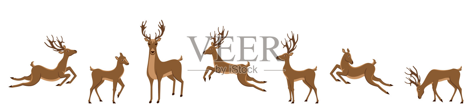 一组孤立的鹿。梅花鹿，驯鹿，雄鹿设计元素图片