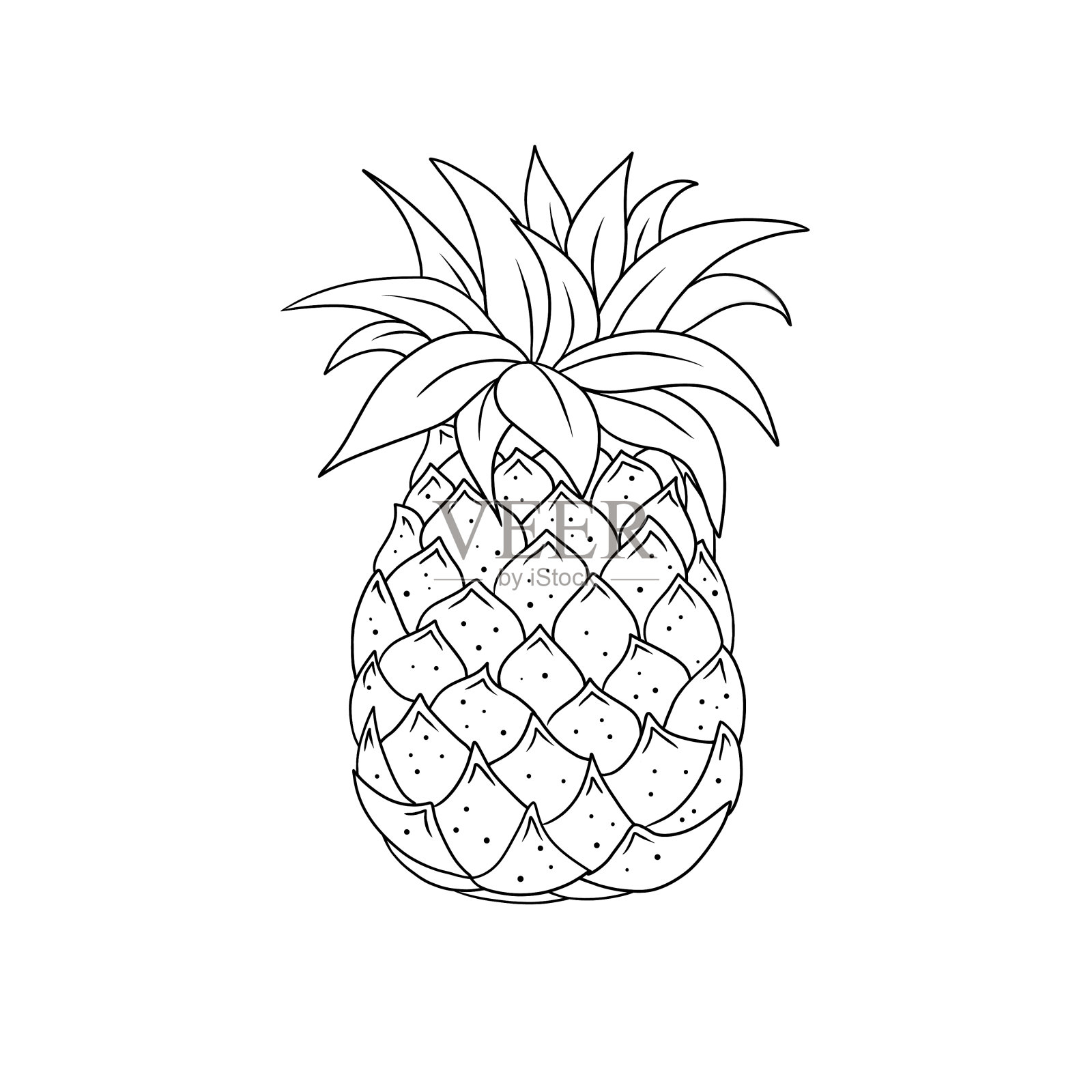 轮廓菠萝热带水果。艺术线条插图。彩色书页面。插画图片素材