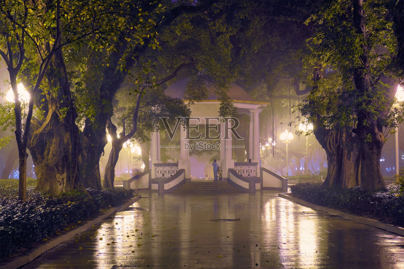 广州人民公园夜间雾，中国照片摄影图片