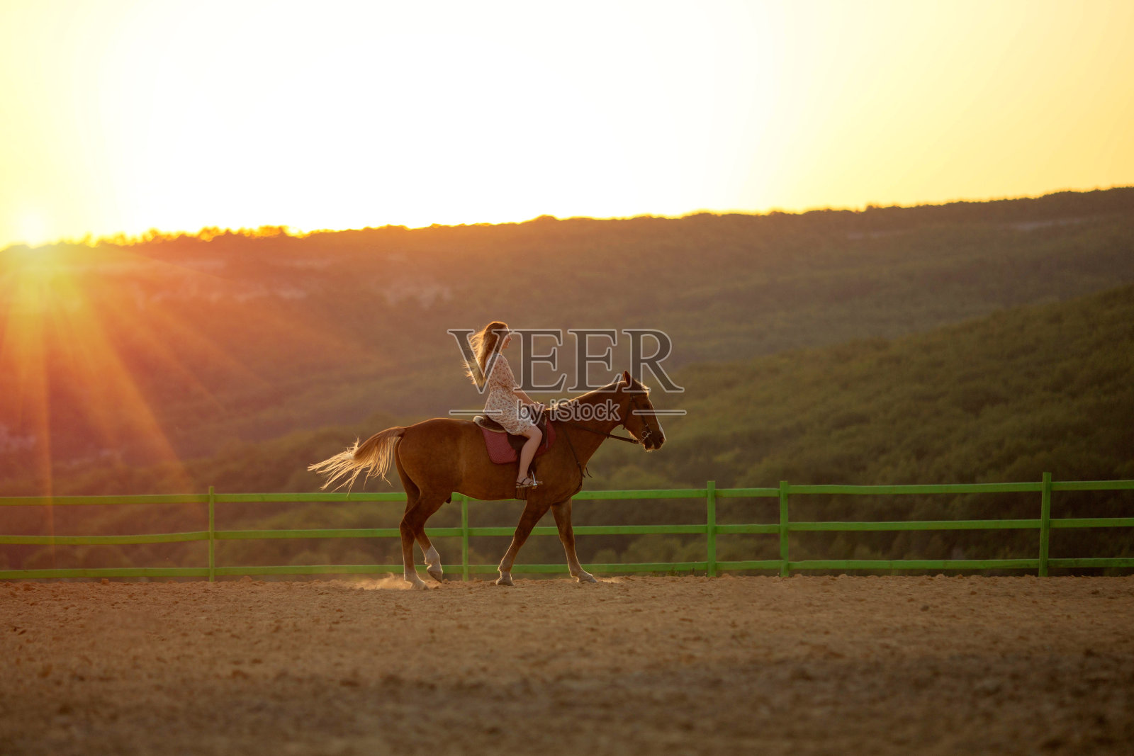 穿着裙子的女孩骑着马在太阳下。照片摄影图片