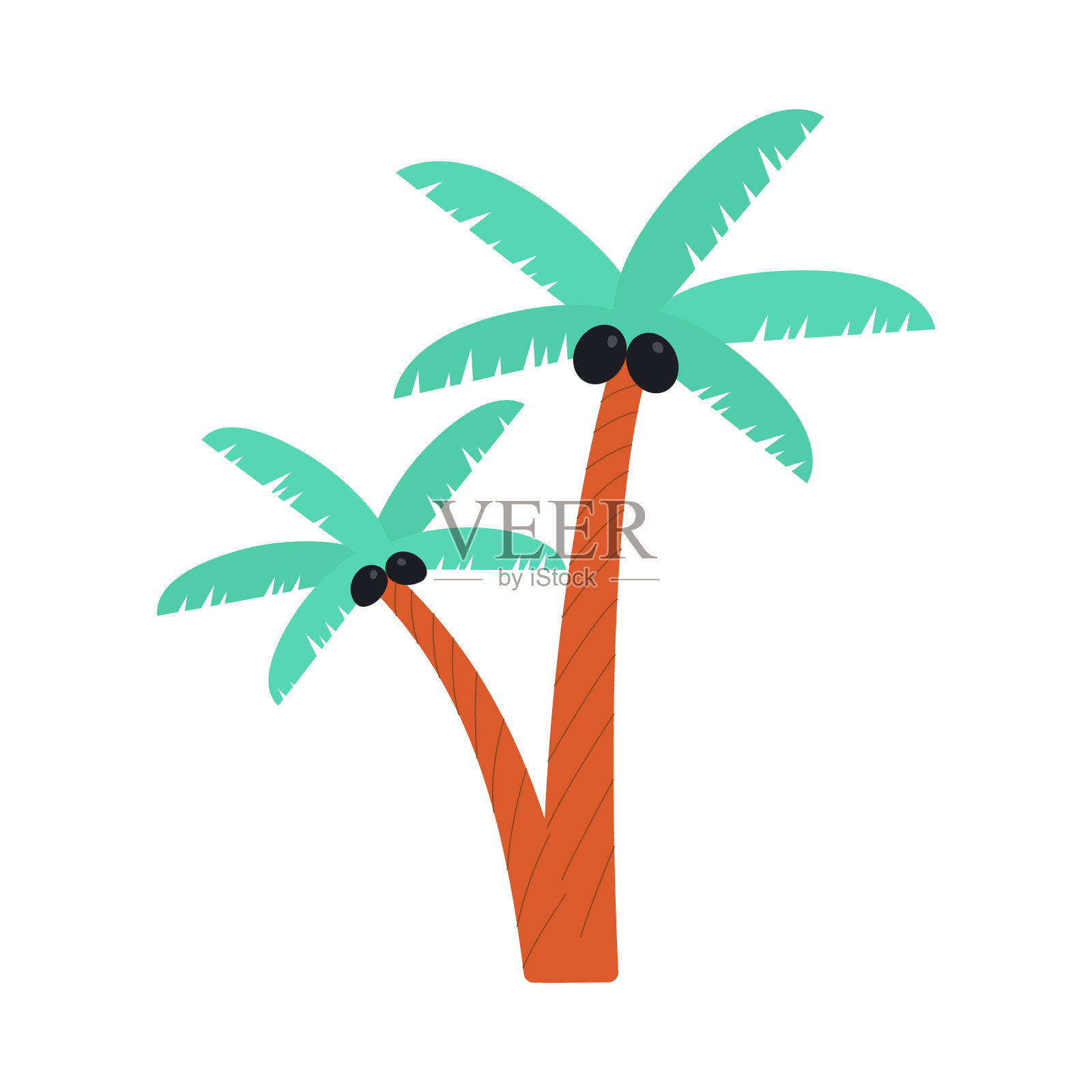 卡通棕榈树与黑色椰子孤立在白色的背景插画图片素材